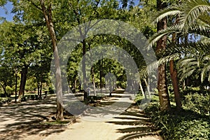 Parque de Maria Luisa, park in Seville, Spain photo