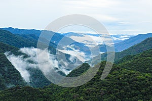 Parque escologico, ÃÂ¡rea de preservaÃÂ§ÃÂ£o photo