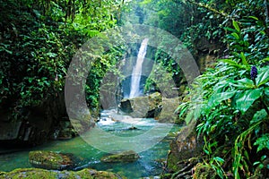 Parque escologico, ÃÂ¡rea de preservaÃÂ§ÃÂ£o photo