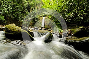 Parque escologico, ÃÂ¡rea de preservaÃÂ§ÃÂ£o photo