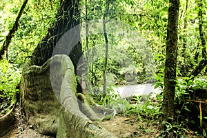 Parque escologico, ÃÂ¡rea de preservaÃÂ§ÃÂ£o photo