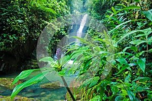 Parque escologico, ÃÂ¡rea de preservaÃÂ§ÃÂ£o photo