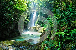 Parque escologico, ÃÂ¡rea de preservaÃÂ§ÃÂ£o photo