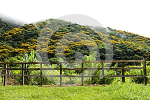 Parque escologico, Ã¡rea de preservaÃ§Ã£o