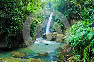 Parque escologico, Ã¡rea de preservaÃ§Ã£o