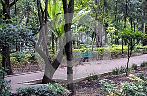 Parque Espana (Spain Park), in Condesa, Mexico City photo