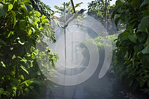 Parque Explora in MedellÃÂ­n