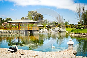 Parque JardÃÂ­n del CorazÃÂ³n in La Serena photo