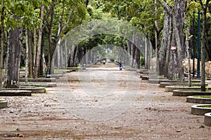 Parque los Caobos photo