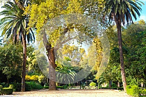 Parque Maria Luisa photo
