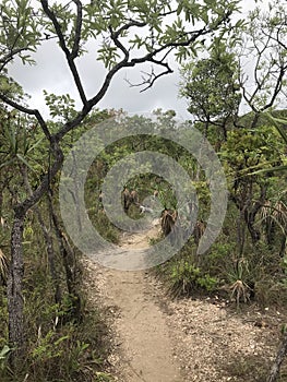 Parque Nacional da Chapada dos Veadeiros