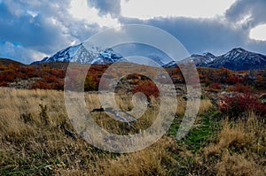 Parque Nacional Torres del Paine, Chile