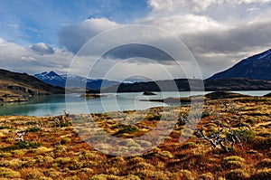 Parque Nacional Torres del Paine, Chile