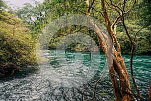 Parque Nacional Vicente Perez Rosales photo