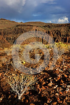 Parque Natural de Pilancones in Gran Canaria photo