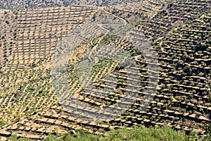 Natural do Douro Internacional landscape near Sapinha-Esc photo