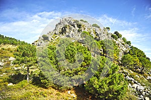 Parque Natural Sierra de Grazalema en la provincia de CÃ¡diz, EspaÃ±a