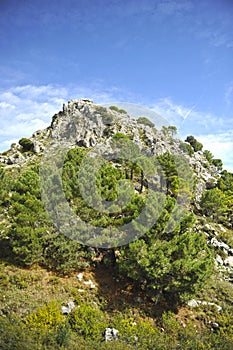 Parque Natural Sierra de Grazalema en la provincia de CÃ¡diz, EspaÃ±a