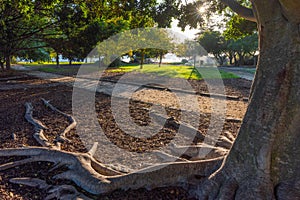 Parque of NaÃ§oes gardens