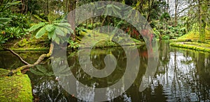 Parque Terra Nostra reflective pond, surrounded by Sao Miguel verdant greenery and Azores islands