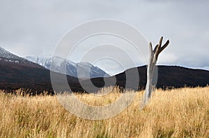 Parque Tierra del Fuego photo