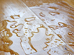 Parquet. Water drops on wooden surface.