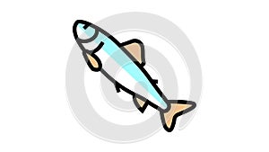 parr salmon color icon animation