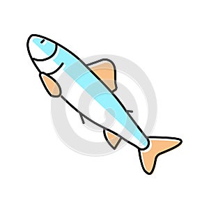 parr salmon color icon vector illustration