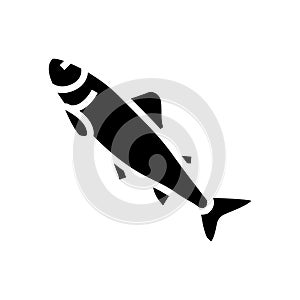 parr salmon glyph icon vector illustration