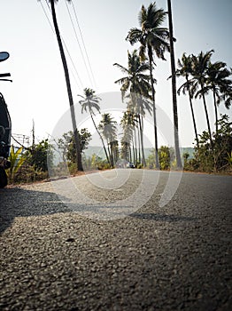 Parra - the Coconut Road photo