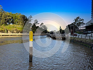 Parramatta River walkway lined with trees Ferry Wharf and High rise residential appartments on Parramatta River