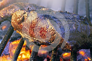 Parrilla Argentina, traditional barbecue made with  straight from the wood photo