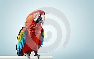 Parrot against White Background -Generative Ai