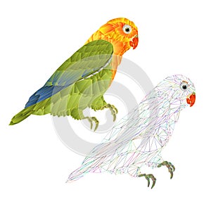 Parrot  Agapornis  lovebird  tropical bird   polygons and outline on a white background  vector illustration editable hand draw