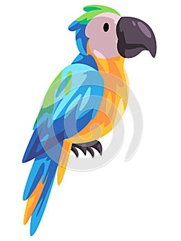 Parrot bird colorful adorable cacatua exotic cute friendly macaw animal in blue green yellow