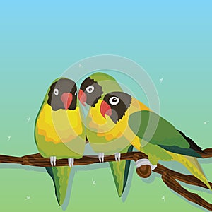 Parrot bird group