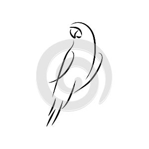 Parrot bird mono line art template