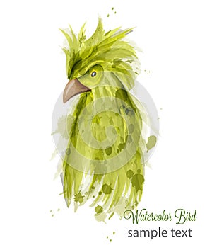 Parrot bird Vector watercolor. cartoon style illustrations