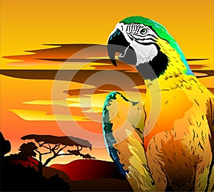 Papagáj v jasný farby. vektor 
