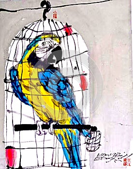 A Parrot in a cage
