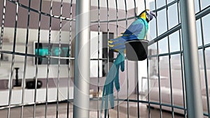 Parrot Cage Bird Flies Animated Background 3D Rendering Animation