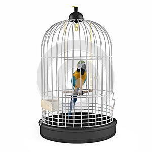 Parrot Cage isolated