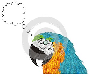 Parrot and clean sign