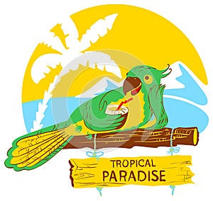 Parrot with cocktail on wooden designator to the tropical beach