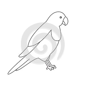 Parrot for coloring book.