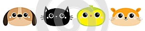 Parrot Dog Black Cat Hamster bird head face round icon set. Kitty kitten. Funny Kawaii animal. Big eyes. Kids print. Cute cartoon