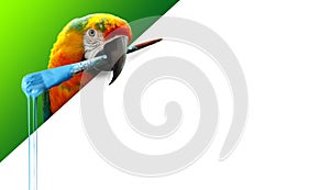 Parrot with a dripping paint brush in its beak