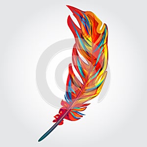 Parrot feather