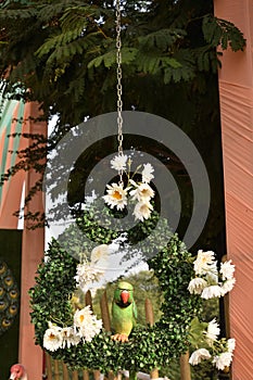 Parrot and flower decoration at flower show 2019, Udaipur, India