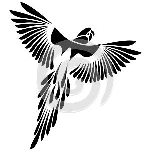 Parrot flying bird black silhouette drawn on white isolated background. Flat style. Tattoo, logo for the company, travel agency